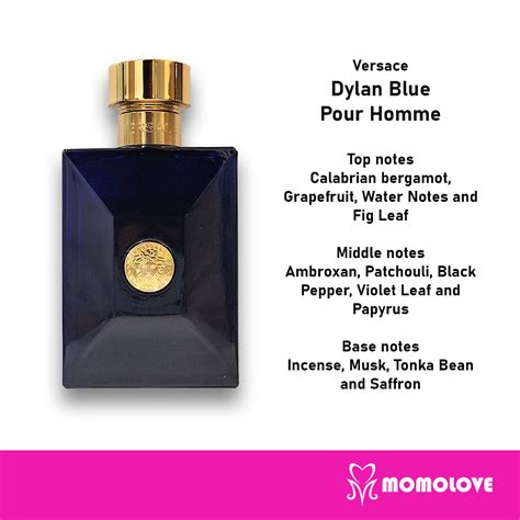 what notes are blended to make versace pour homme|versace cologne for men.